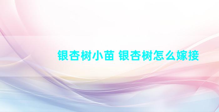 银杏树小苗 银杏树怎么嫁接